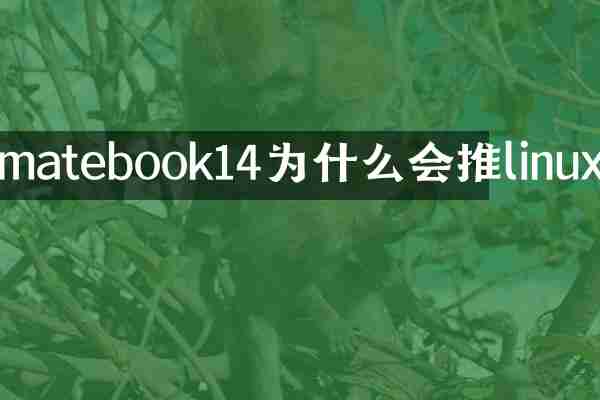 matebook14为什么会推linux