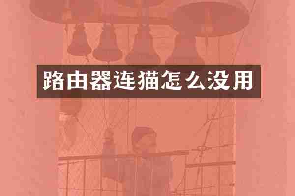 路由器连猫怎么没用