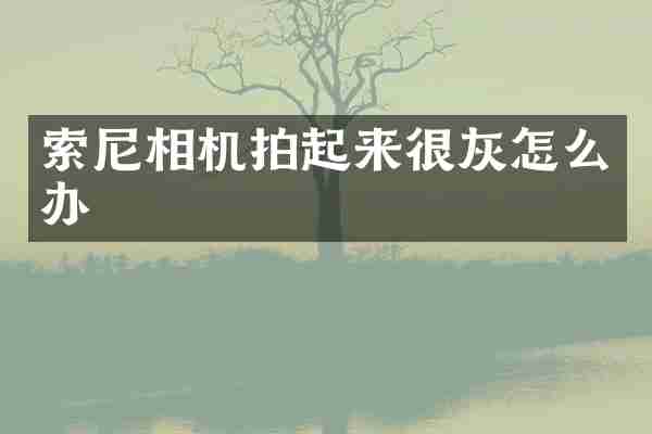 相机拍起来很灰怎么办