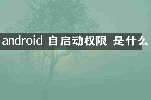 android 自启动权限 是什么