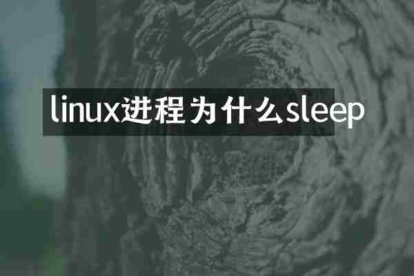 linux进程为什么sleep