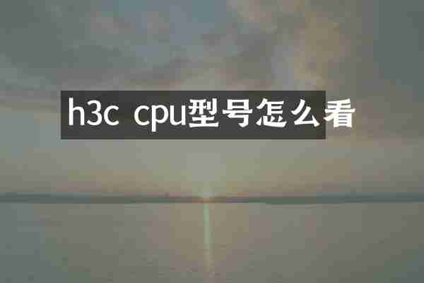h3c cpu型号怎么看