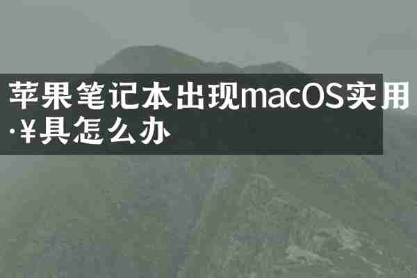 苹果笔记本出现macOS实用工具怎么办