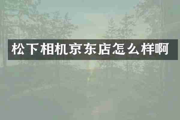 松下相机京东店怎么样啊