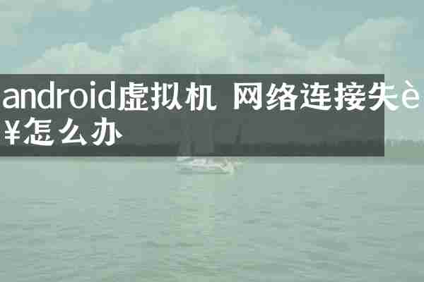 android虚拟机 网络连接失败怎么办