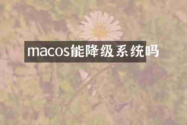 macos能降级系统吗