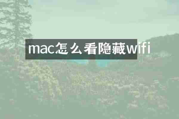 mac怎么看隐藏wifi