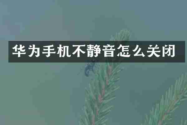 华为手机不静音怎么关闭