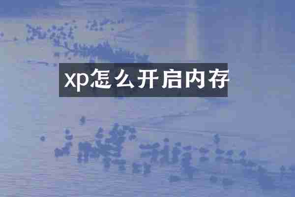 xp怎么开启内存