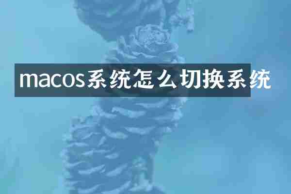 macos系统怎么切换系统