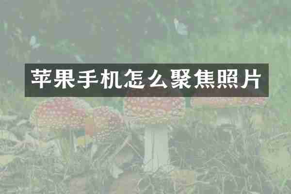 苹果手机怎么聚焦照片
