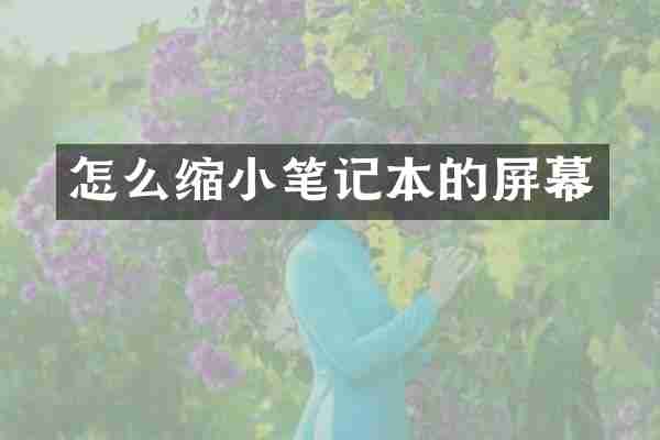 怎么缩小笔记本的屏幕