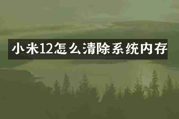 小米12怎么清除系统内存