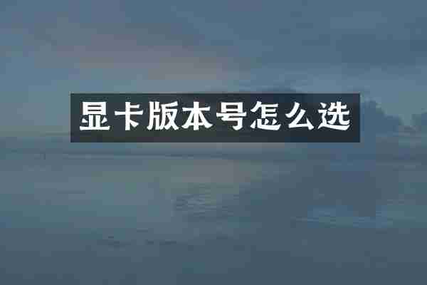 显卡版本号怎么选