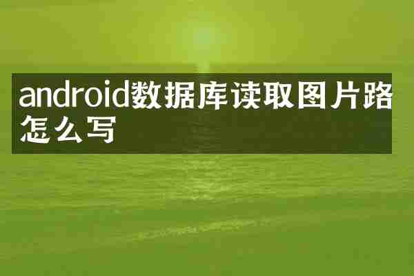 android数据库读取图片路径怎么写