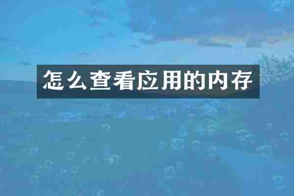 怎么查看应用的内存