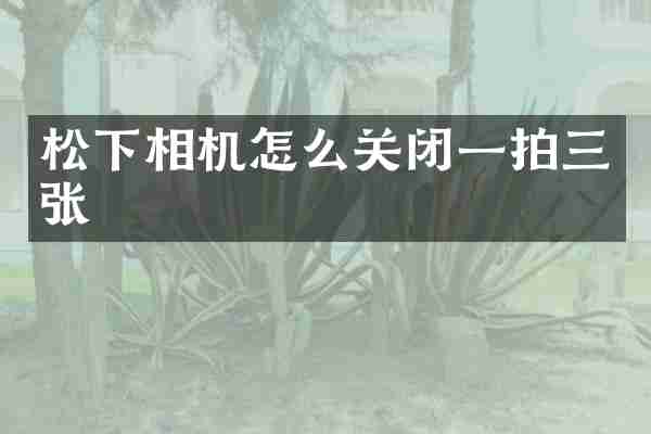松下相机怎么关闭一拍三张