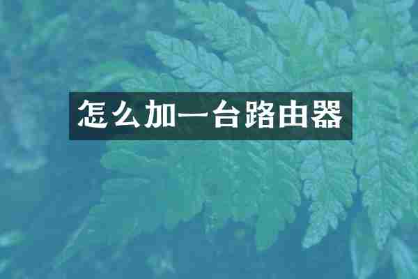 怎么加一台路由器
