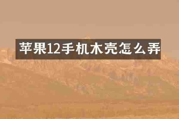 苹果12手机木壳怎么弄