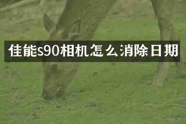 佳能s90相机怎么消除日期