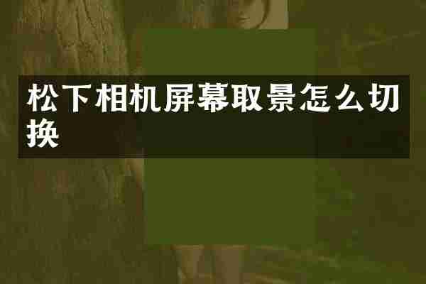 松下相机屏幕取景怎么切换