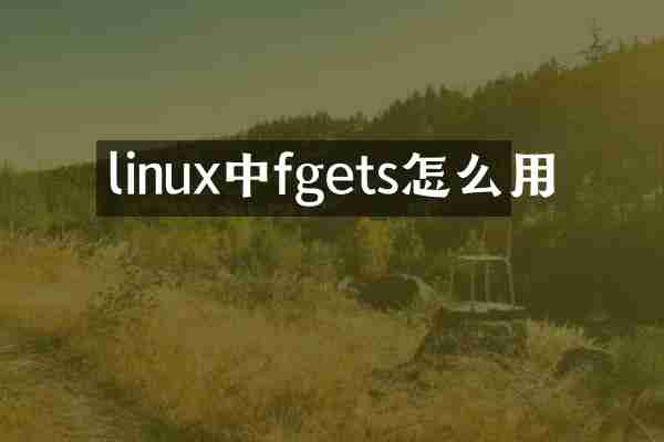 linux中fgets怎么用