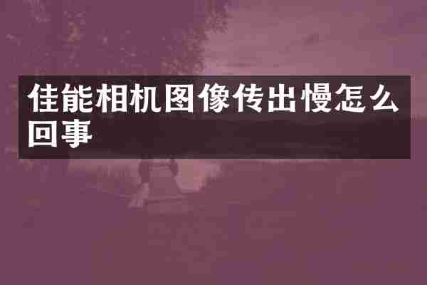 佳能相机图像传出慢怎么回事