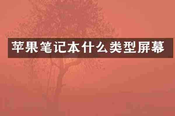 苹果笔记本什么类型屏幕