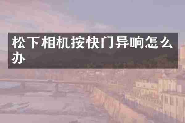 松下相机按快门异响怎么办