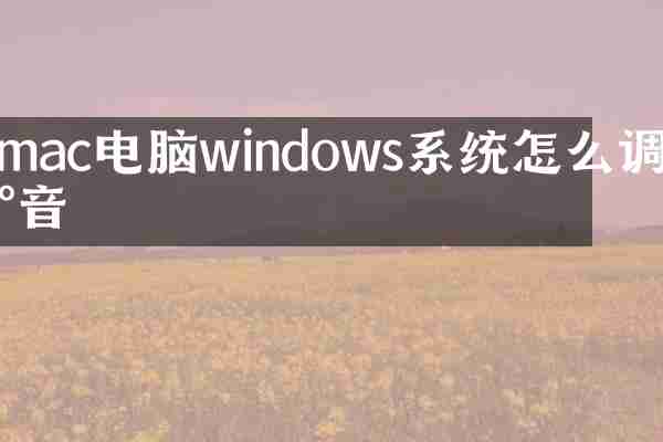 mac电脑windows系统怎么调声音