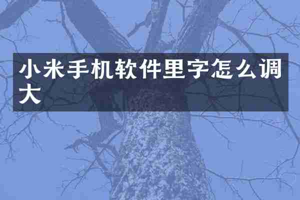 小米手机软件里字怎么调大
