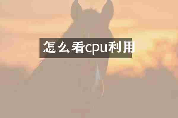 怎么看cpu利用