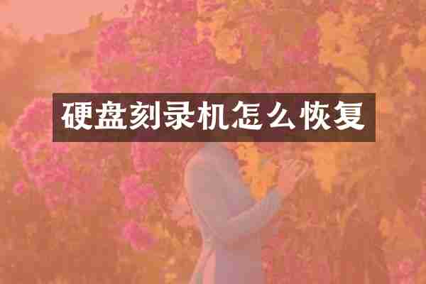 硬盘刻录机怎么恢复