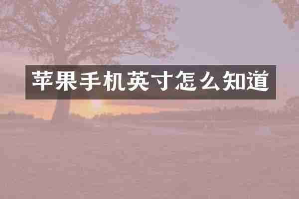 苹果手机英寸怎么知道