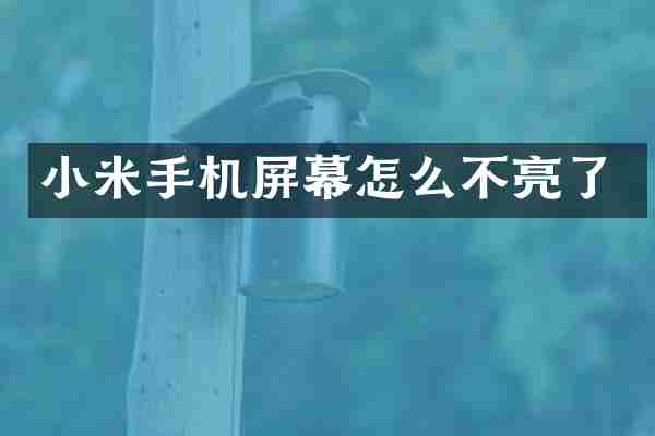 小米手机屏幕怎么不亮了