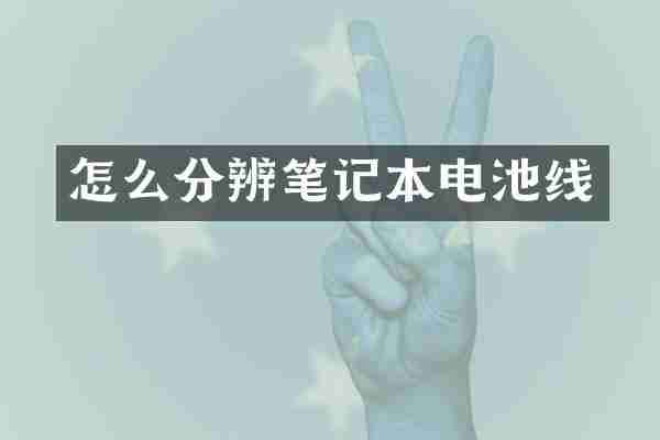 怎么分辨笔记本电池线