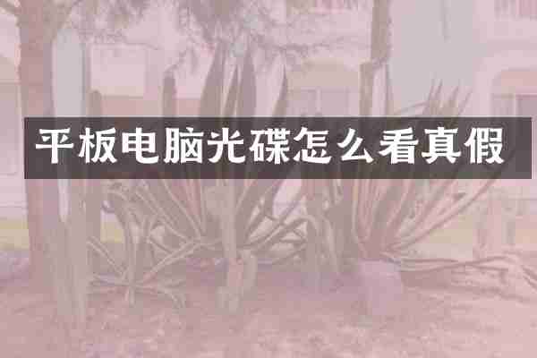 平板电脑光碟怎么看真假