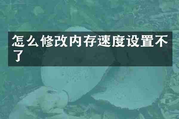 怎么修改内存速度设置不了