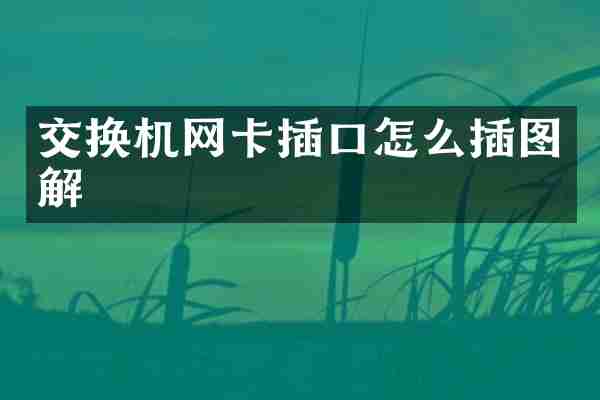 交换机网卡插口怎么插图解