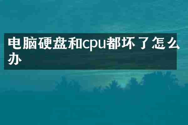 电脑硬盘和cpu都坏了怎么办