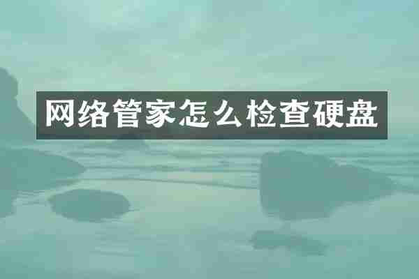 网络管家怎么检查硬盘
