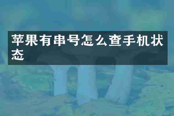 苹果有串号怎么查手机状态
