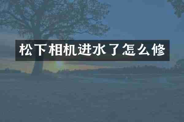 松下相机进水了怎么修
