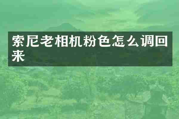 索尼老相机粉色怎么调回来