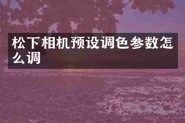 松下相机预设调色参数怎么调