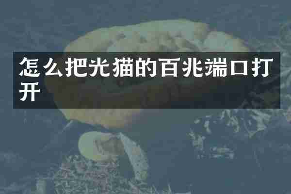 怎么把光猫的百兆端口打开