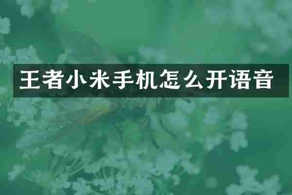 王者小米手机怎么开语音