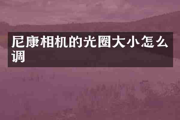 尼康相机的光圈大小怎么调