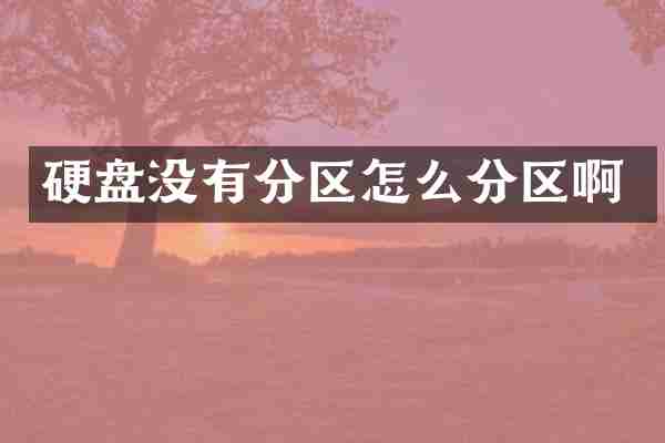 硬盘没有分区怎么分区啊
