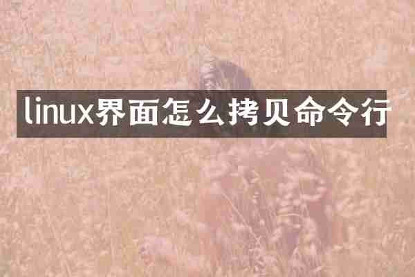 linux界面怎么拷贝命令行